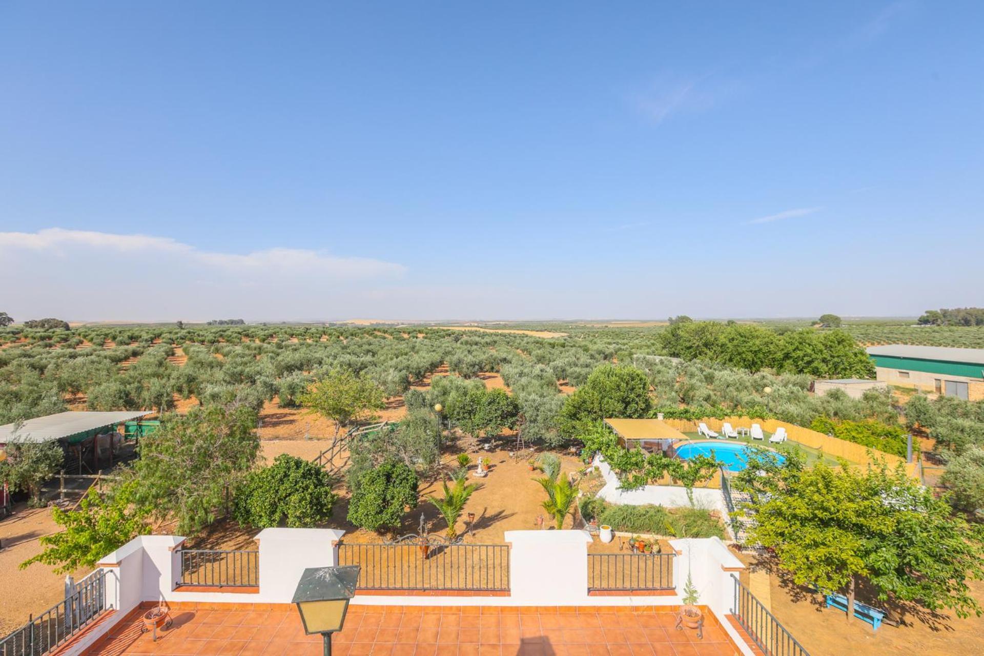 Casa Rural Los Miradores มาร์เชนา ภายนอก รูปภาพ