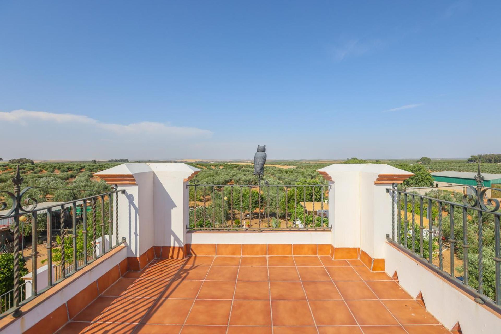 Casa Rural Los Miradores มาร์เชนา ภายนอก รูปภาพ