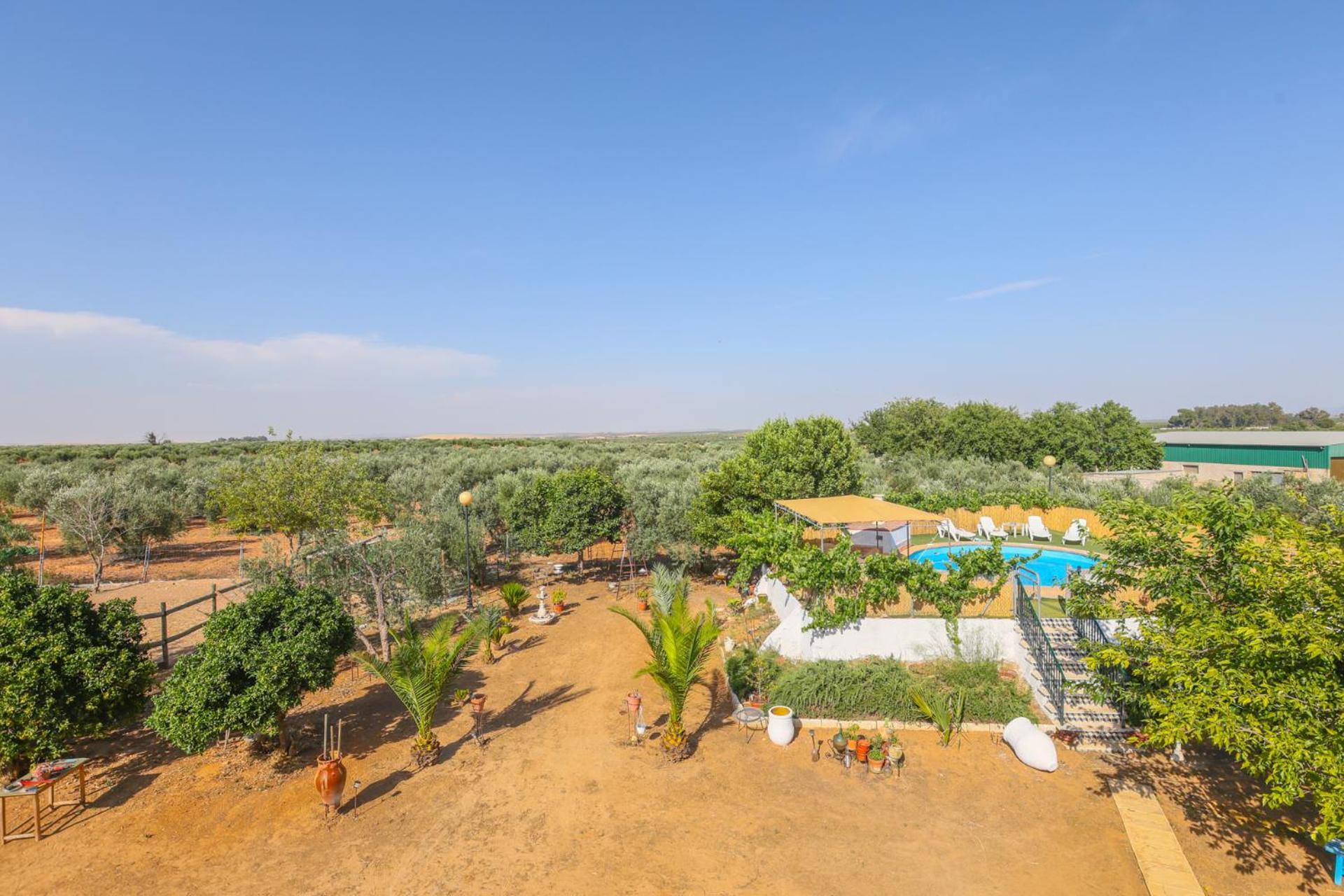 Casa Rural Los Miradores มาร์เชนา ภายนอก รูปภาพ
