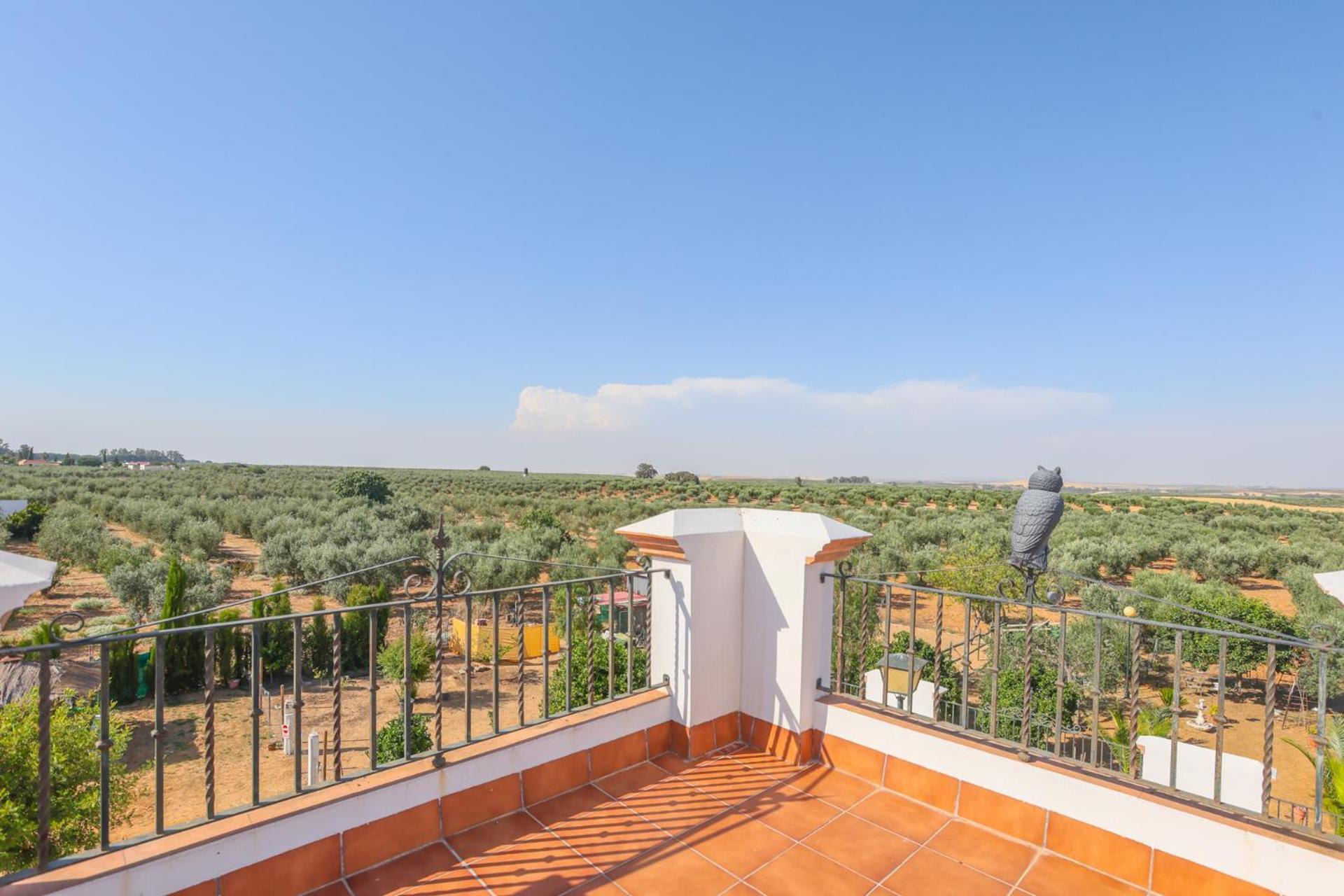 Casa Rural Los Miradores มาร์เชนา ภายนอก รูปภาพ